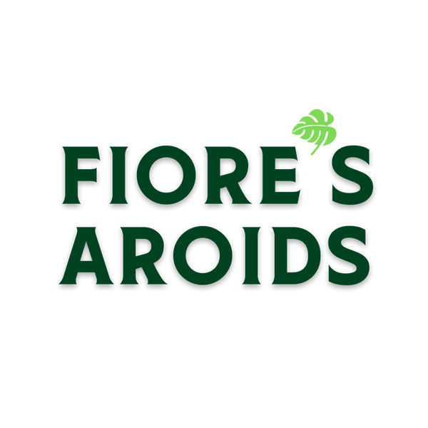 Fiore's logo