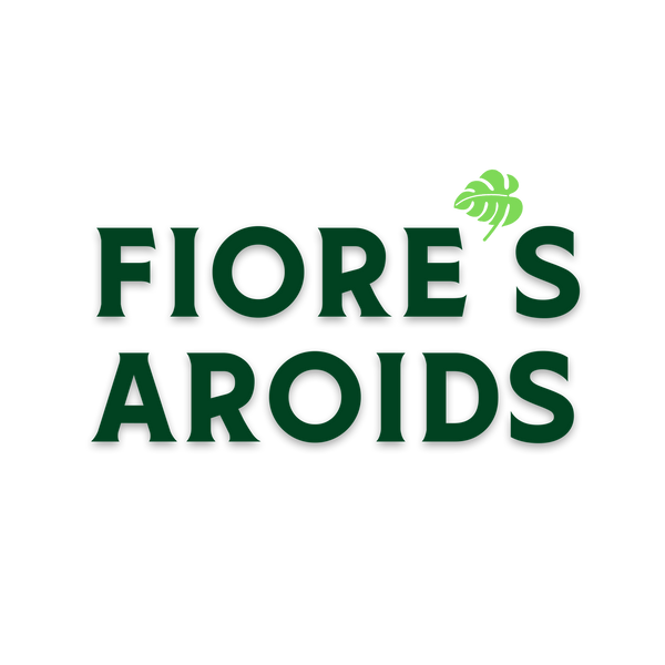 Fiore's Aroids