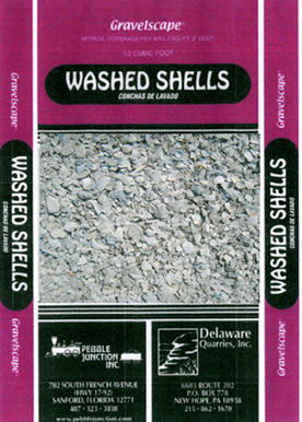 Washed Shell